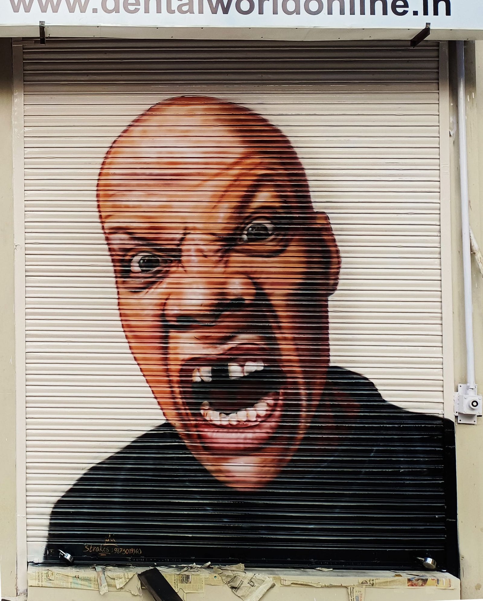 shutter art, best shutter graffiti artist in Delhi, best shutter mural artist in Delhi and Gurugram, 3d shutter painting artist in Delhi and Gurugram